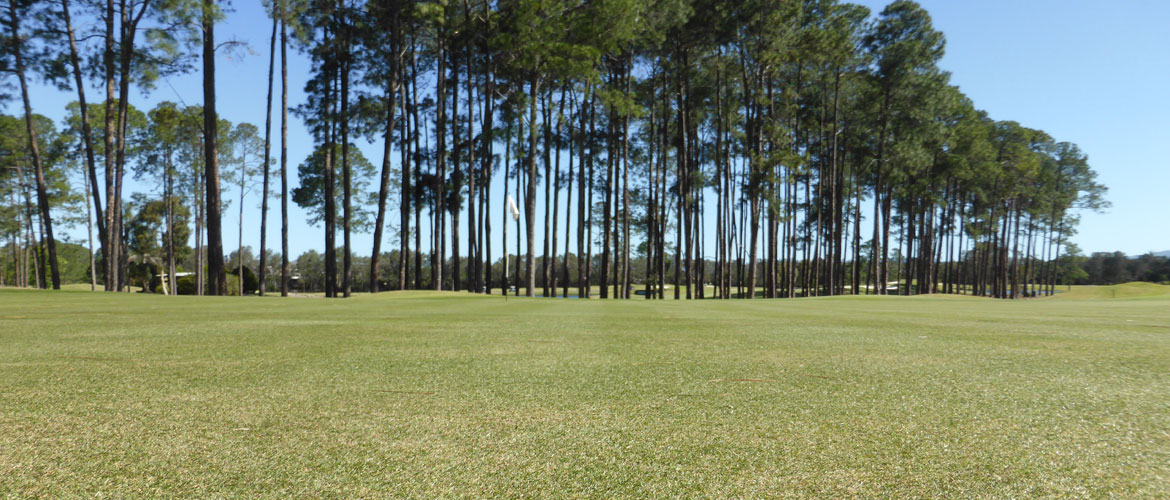 Sanctuary Cove The Pines Golf Course - Gold Coast