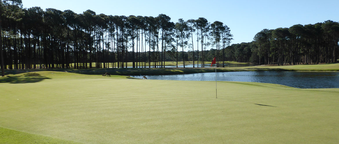 Sanctuary Cove The Pines Golf Course - Gold Coast