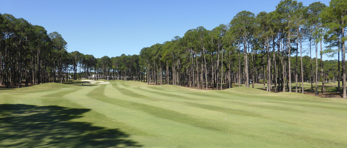 Sanctuary Cove The Pines Golf Course - Gold Coast
