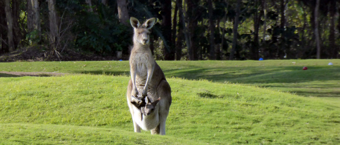 Twin Waters Golf Course