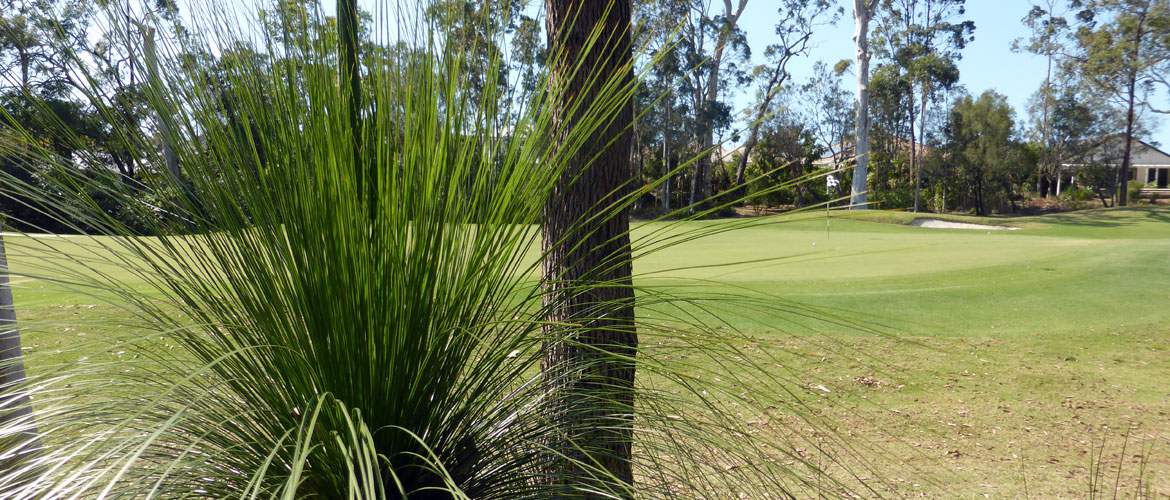 Peregian Golf Course