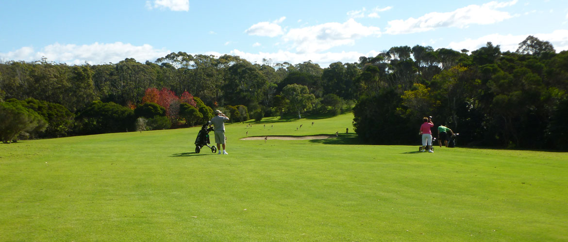 Pambula Merimbula Golf Course
