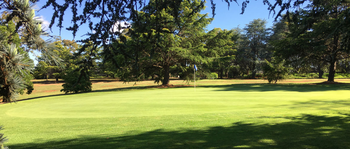 Wentworth Golf Course Orange