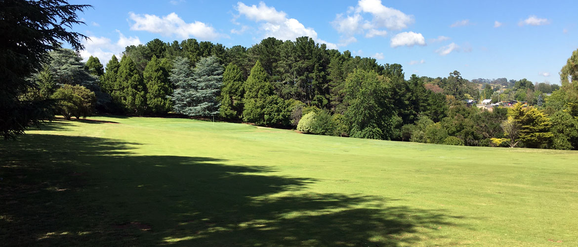 Wentworth Golf Course Orange