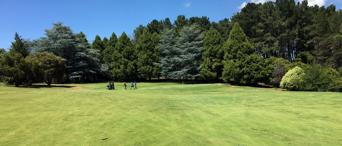 Wentworth Golf Course Orange