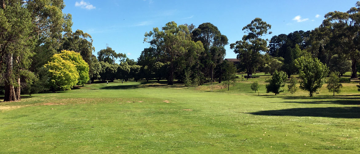 Wentworth Golf Course Orange