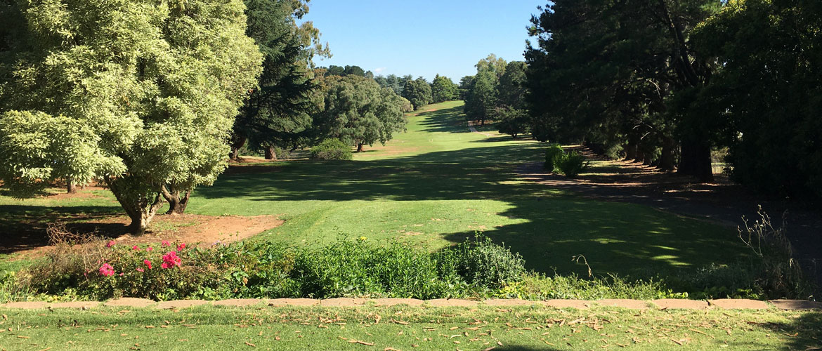 Wentworth Golf Course Orange