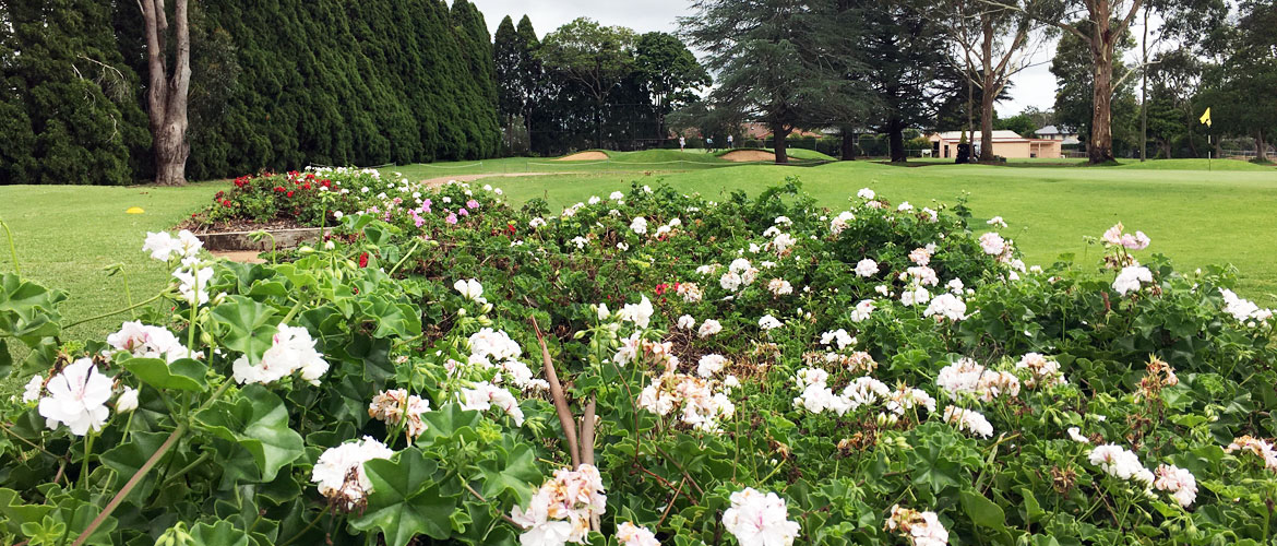 Toowoomba Golf Course