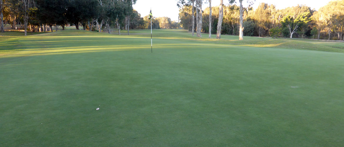 Mt Coolum Golf Course