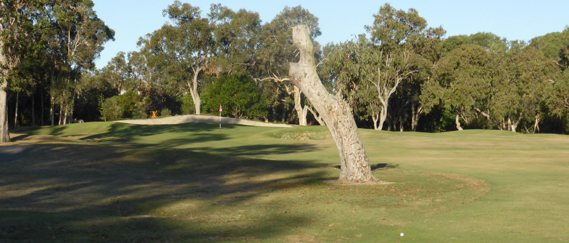 Mt Coolum Golf Course