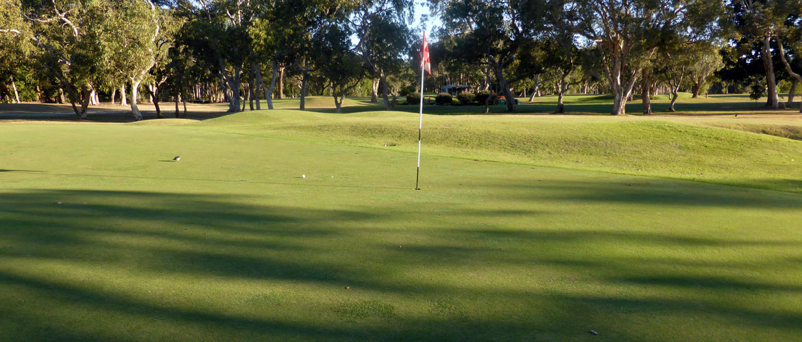Mt Coolum Golf Course