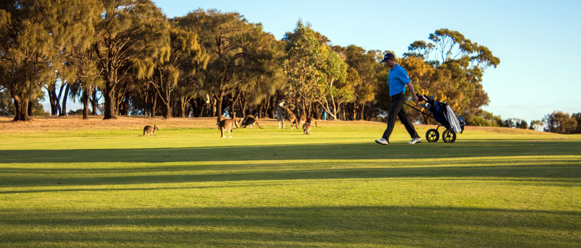 Wirrina Cove Golf Course