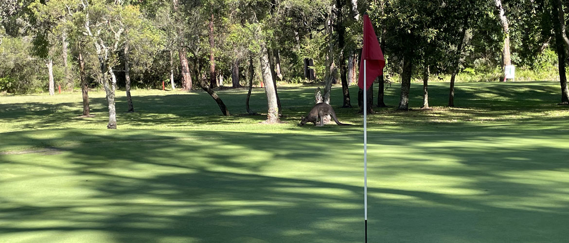 Nelson Bay Golf Course