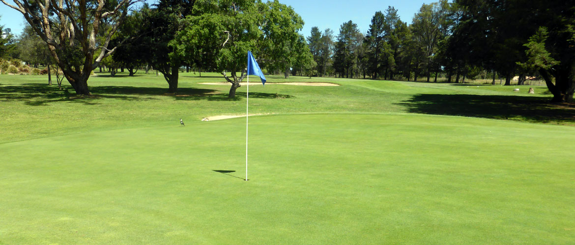 Armidale Golf Course